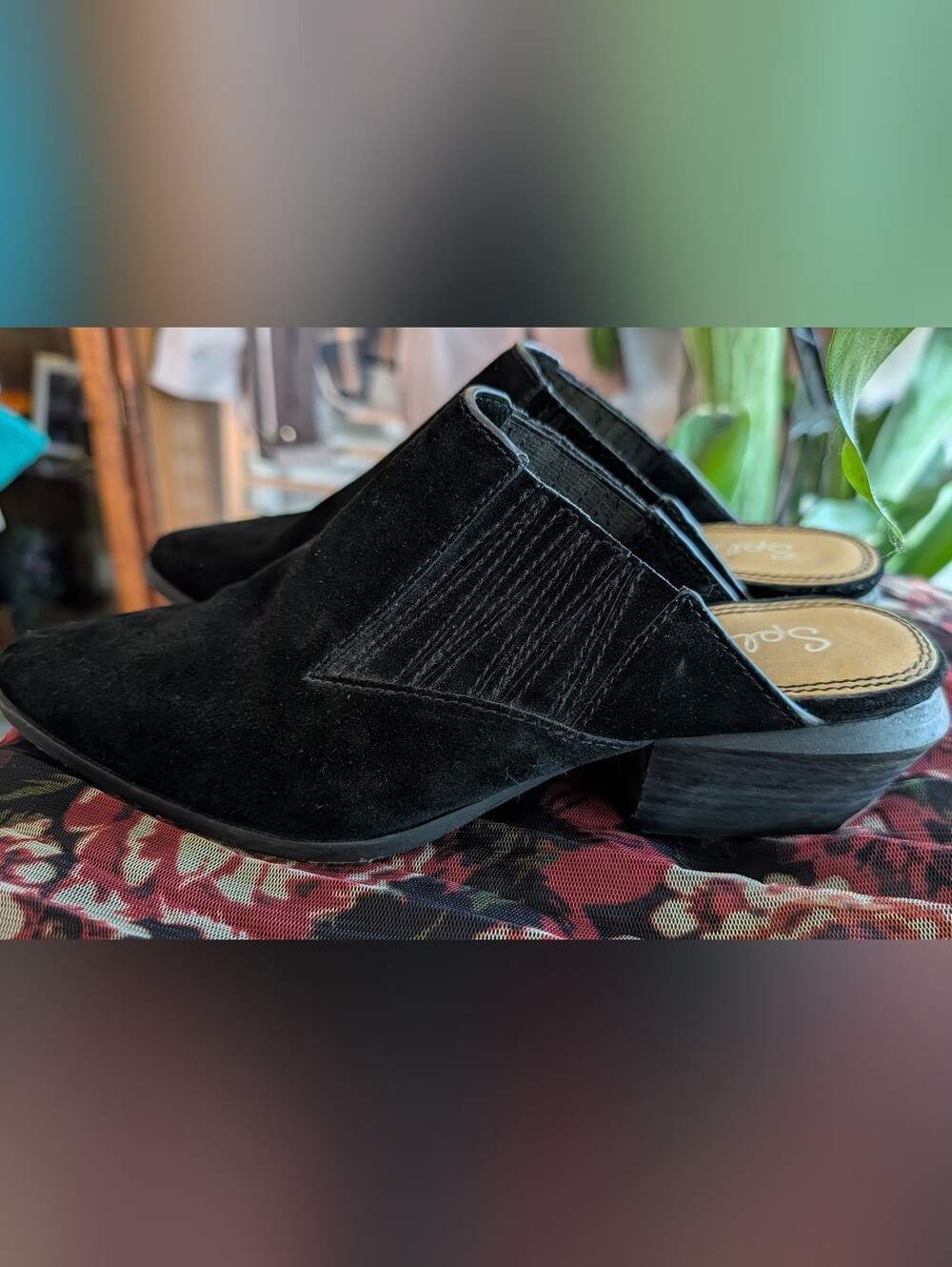 Splendid Black Suede Hailee Stacked Heel Mule